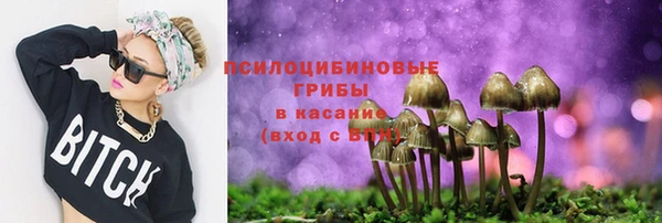ГАЛЛЮЦИНОГЕННЫЕ ГРИБЫ Нефтегорск