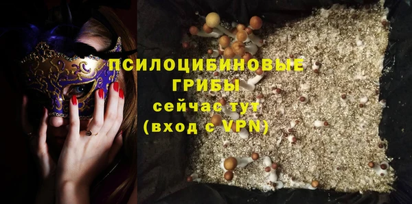 ECSTASY Надым