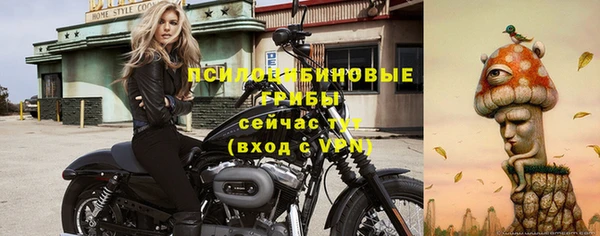 ECSTASY Надым