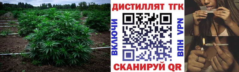 Дистиллят ТГК вейп  Анжеро-Судженск 