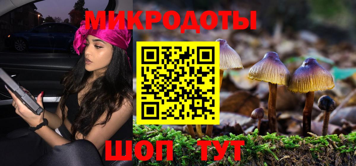 Галлюциногенные грибы Psilocybine cubensis Анжеро-Судженск