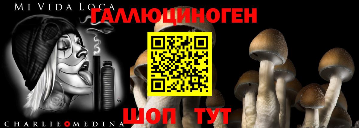 Псилоцибиновые грибы Анжеро-Судженск